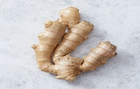 Ginger (Zingiber officinale)