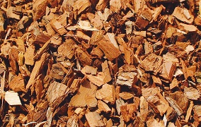 White willow bark 100g